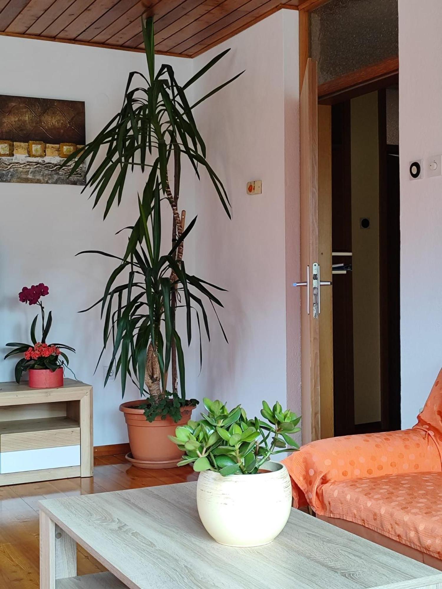 Apartment Kolman Tolmin Exterior photo