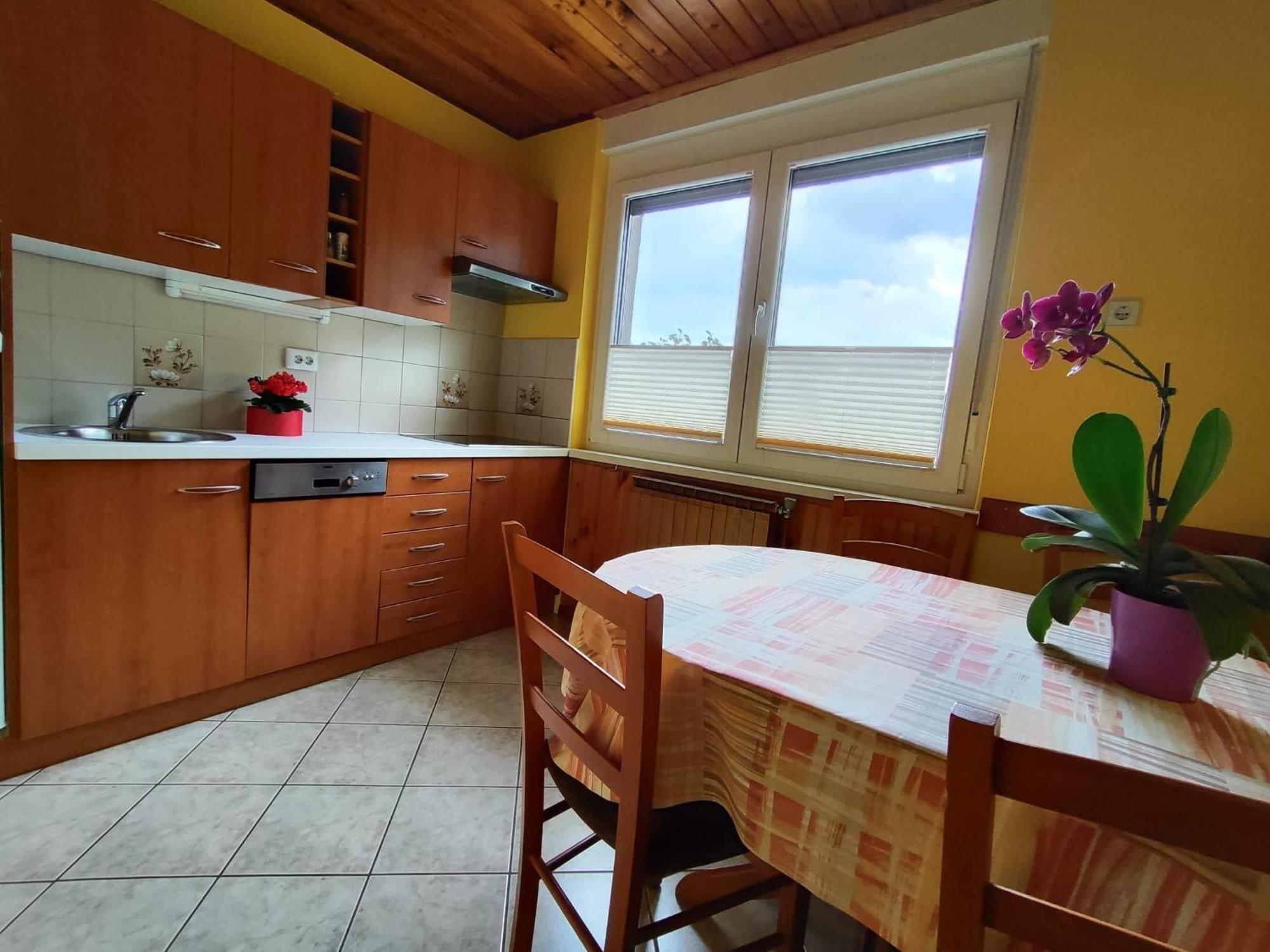 Apartment Kolman Tolmin Exterior photo